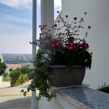 Apartment Edina Pag Pag Town Zewnętrze zdjęcie