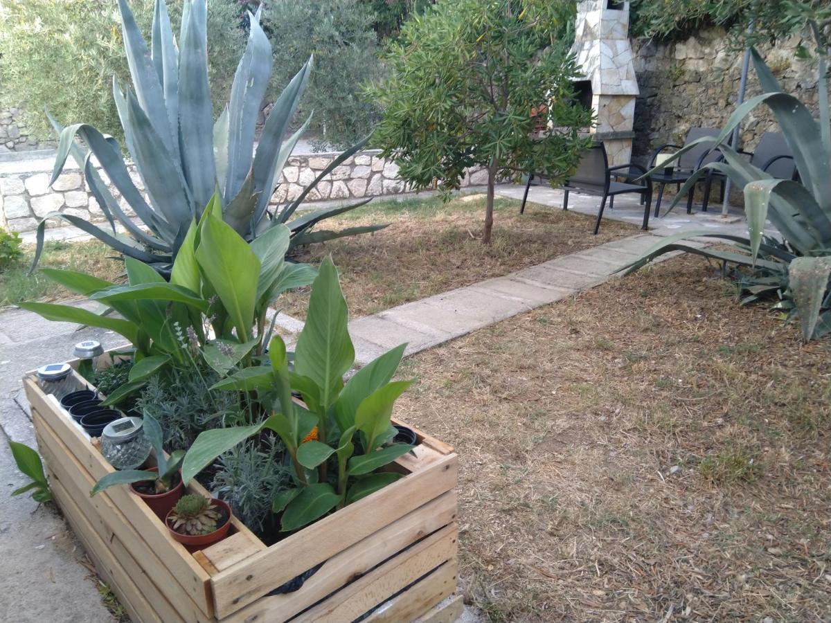 Apartment Edina Pag Pag Town Zewnętrze zdjęcie
