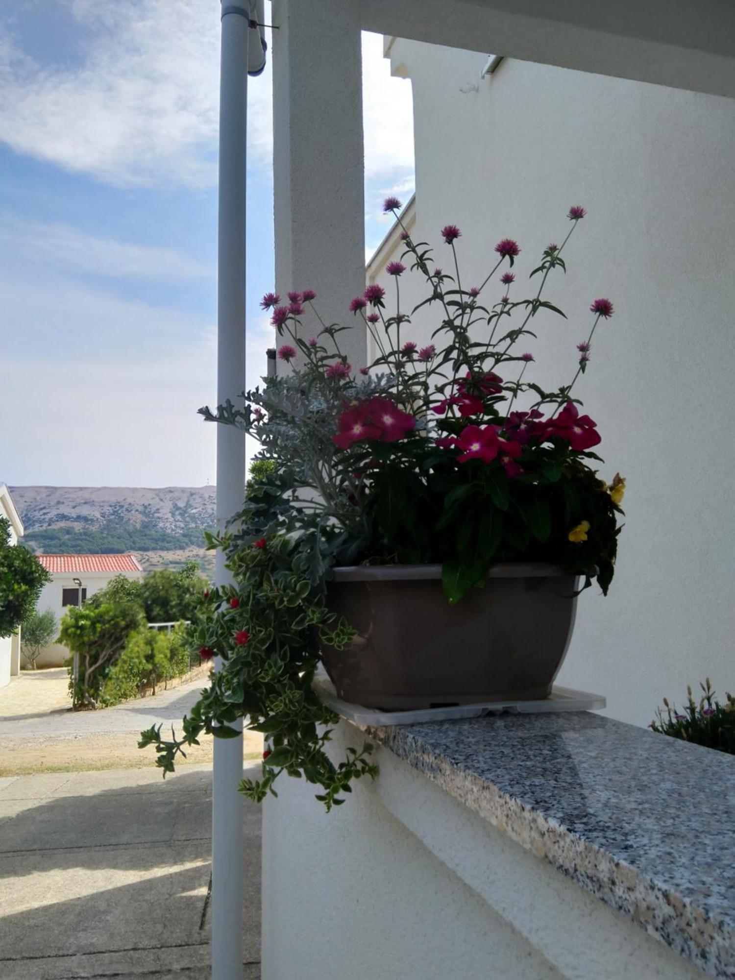 Apartment Edina Pag Pag Town Zewnętrze zdjęcie