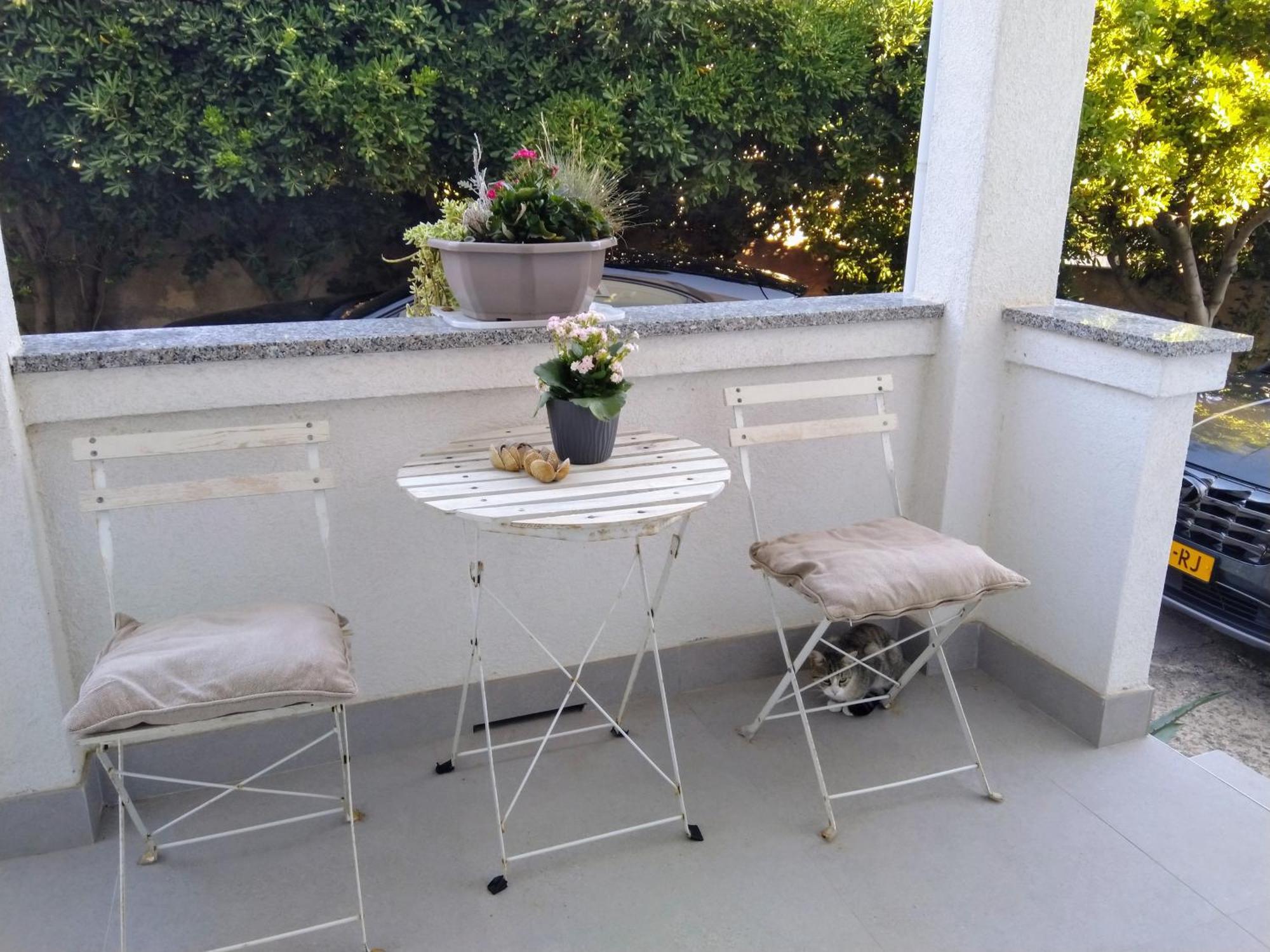 Apartment Edina Pag Pag Town Zewnętrze zdjęcie